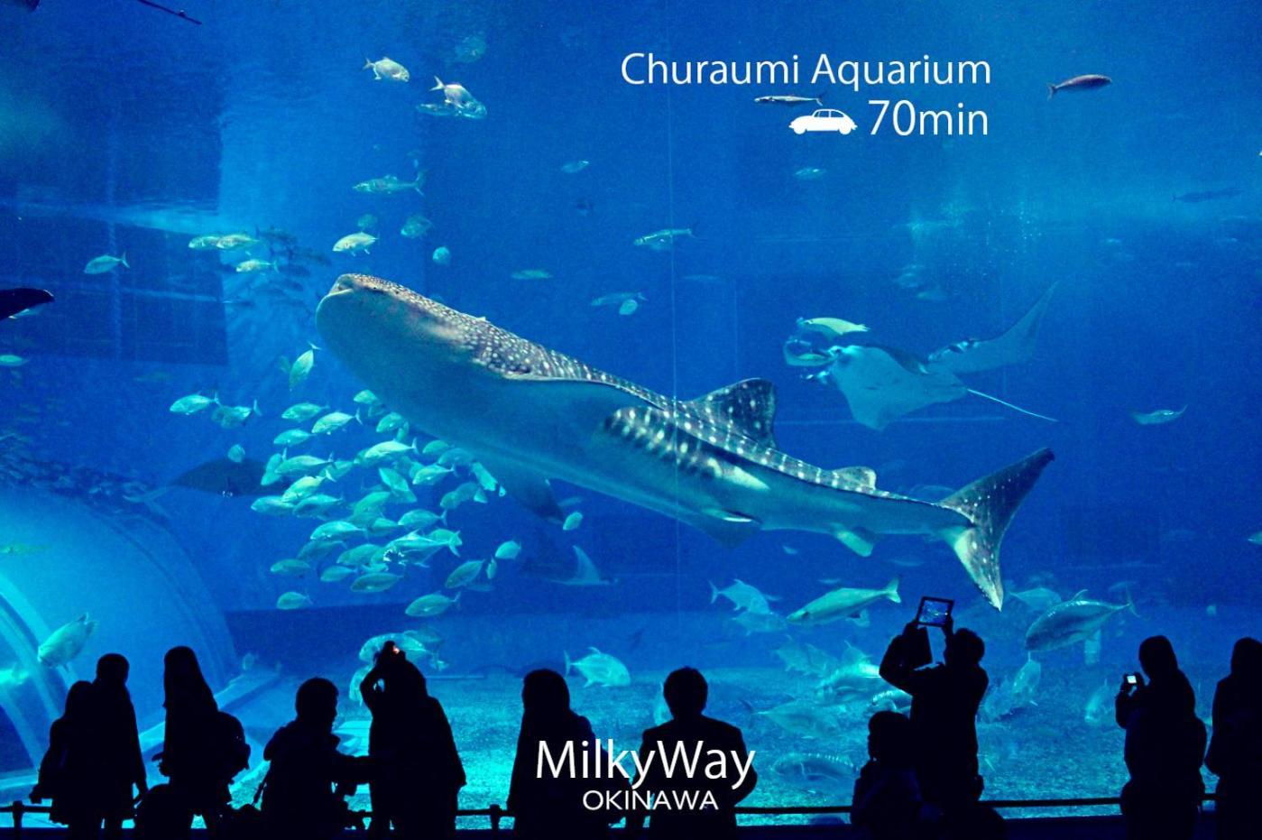 Okinawa Milky Way Vila Yomitan Exterior foto